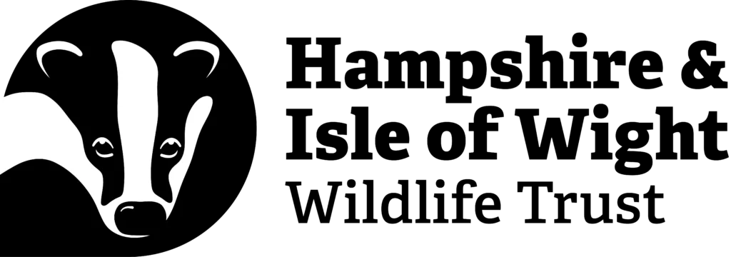 hiwwt logo